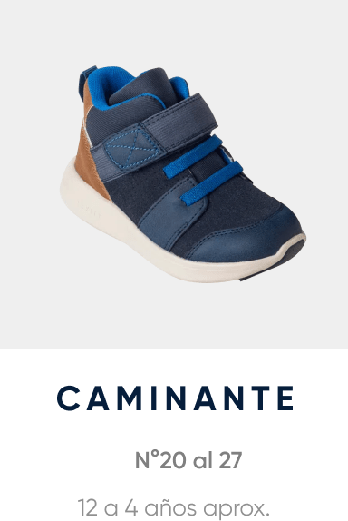 Etapa Caminante (20 al 27)